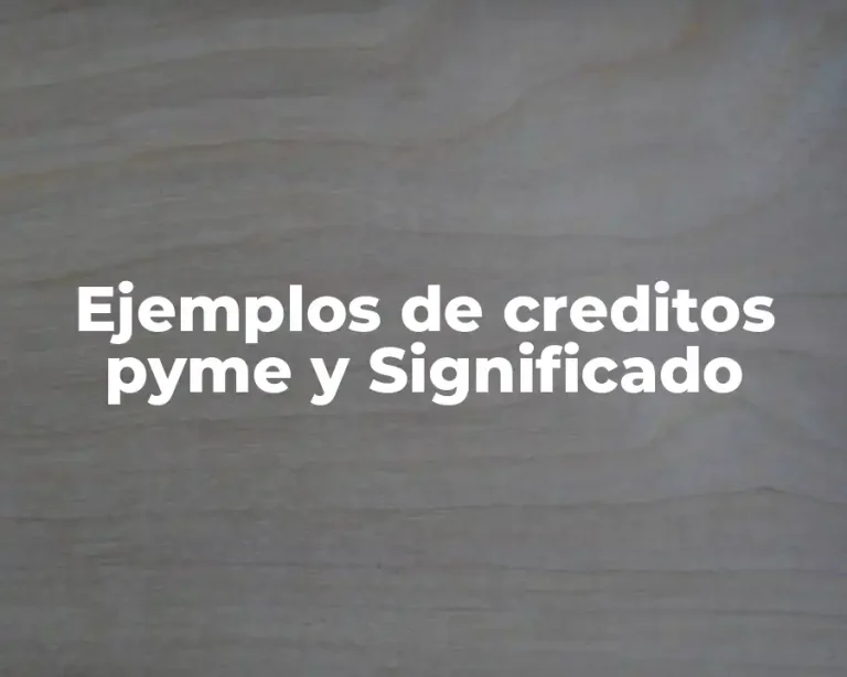 Ejemplos de creditos pyme y Significado