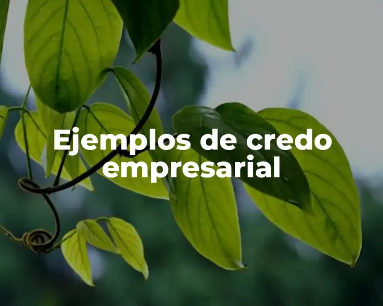Ejemplos de credo empresarial