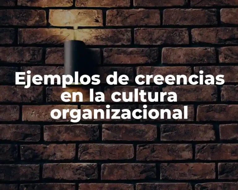Ejemplos de creencias en la cultura organizacional