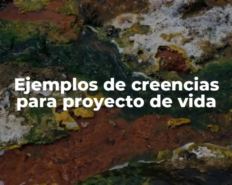 Ejemplos de creencias para proyecto de vida