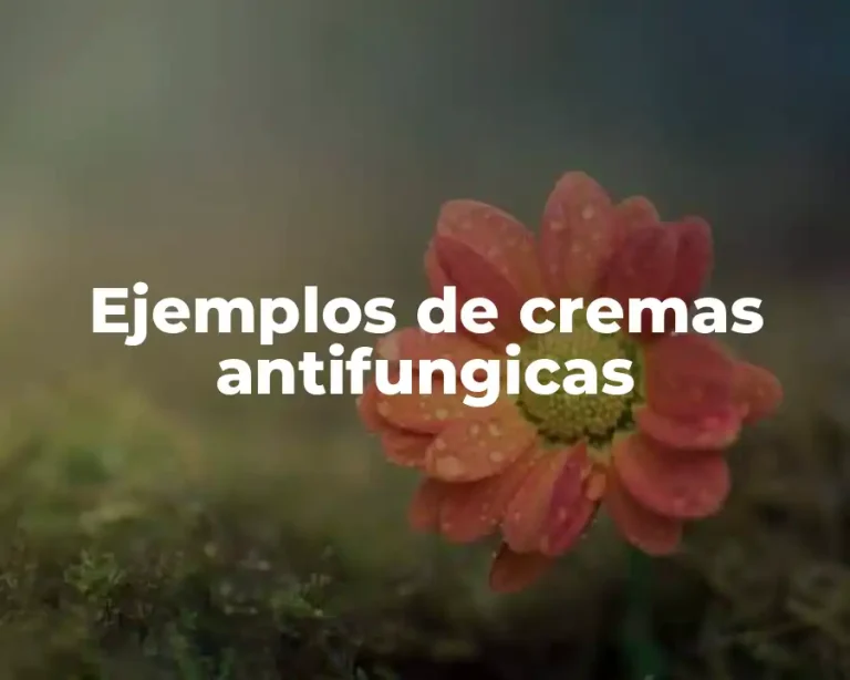 Ejemplos de cremas antifungicas