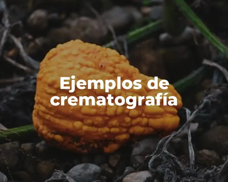 Ejemplos de crematografía