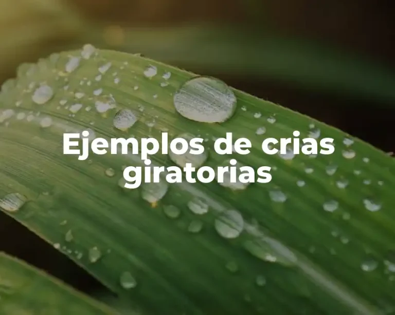 Ejemplos de crias giratorias