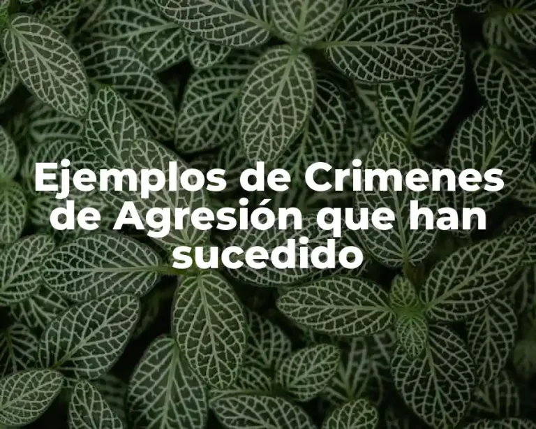Ejemplos de Crimenes de Agresión que han sucedido