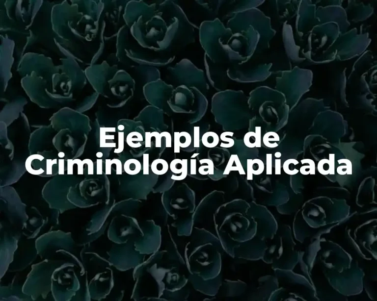 Ejemplos de Criminología Aplicada