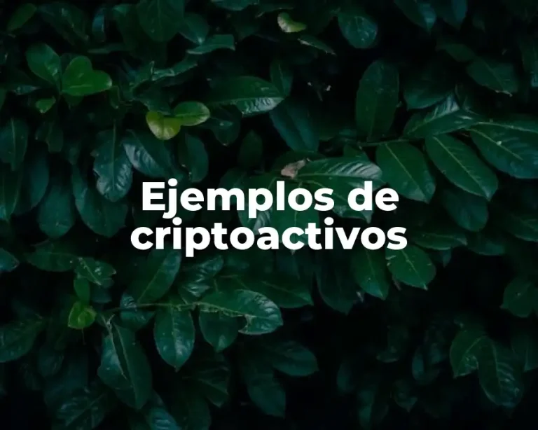 Ejemplos de criptoactivos