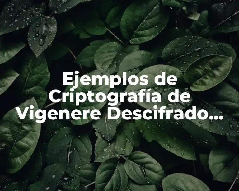 Ejemplos de Criptografía de Vigenere Descifrado con Autocompletar
