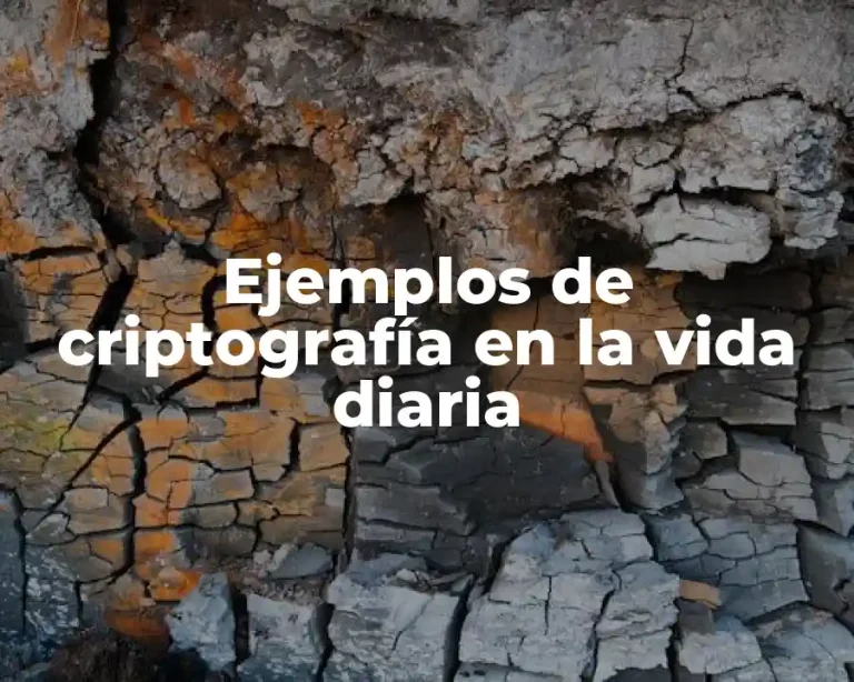 Ejemplos de criptografía en la vida diaria