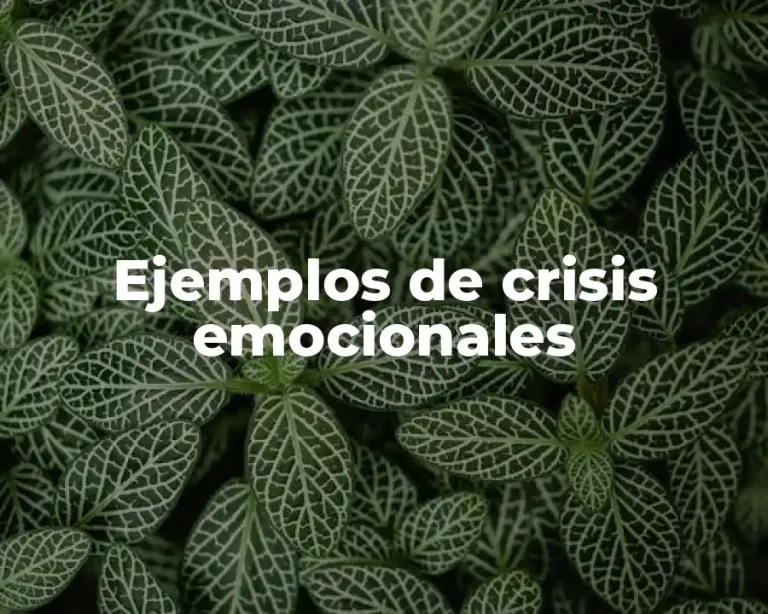 Ejemplos de crisis emocionales
