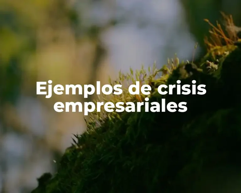 Ejemplos de crisis empresariales