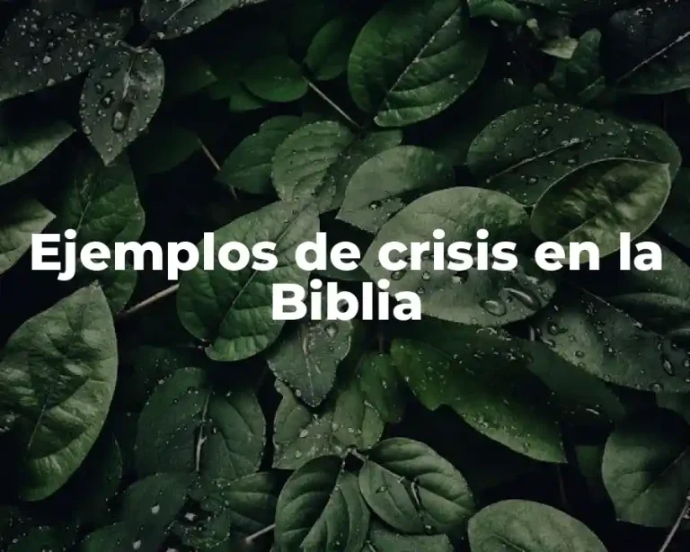 Ejemplos de crisis en la Biblia