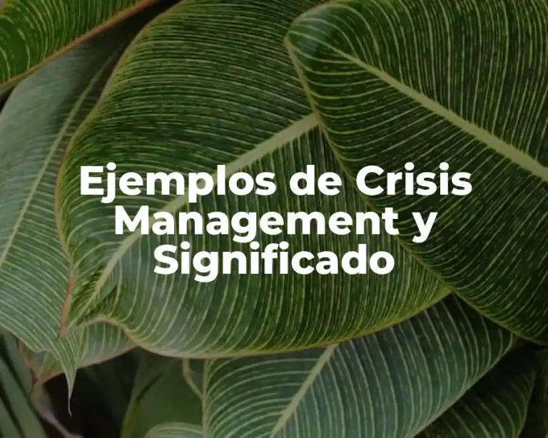 Ejemplos de Crisis Management y Significado