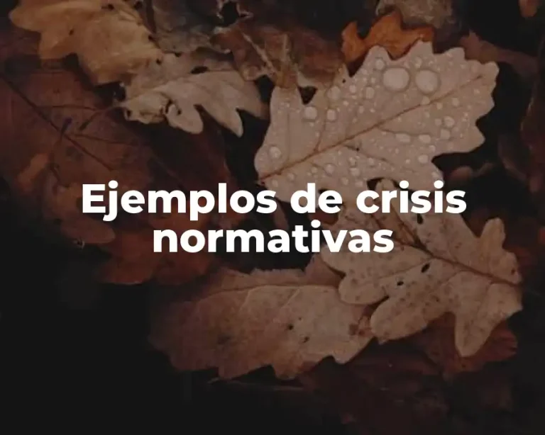 Ejemplos de crisis normativas