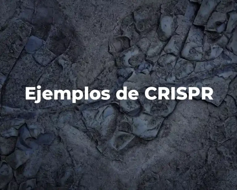 Ejemplos de CRISPR