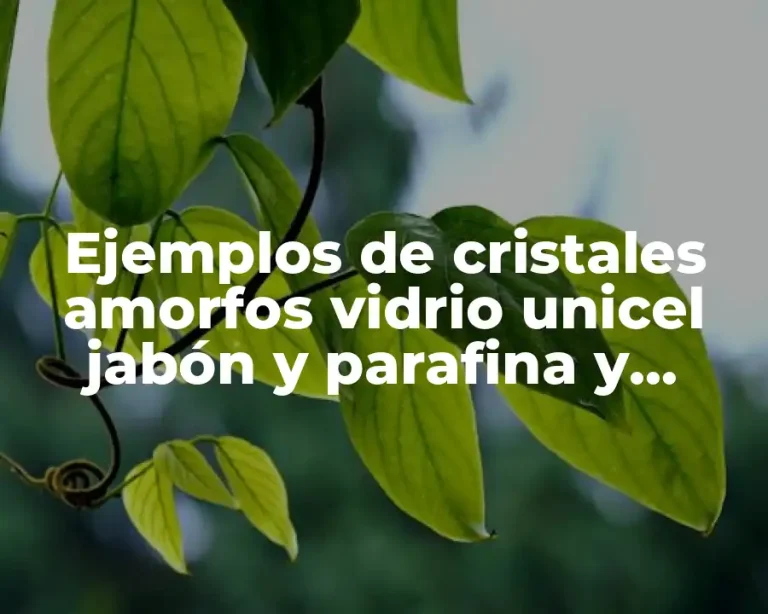 Ejemplos de cristales amorfos vidrio unicel jabón y parafina y Significado