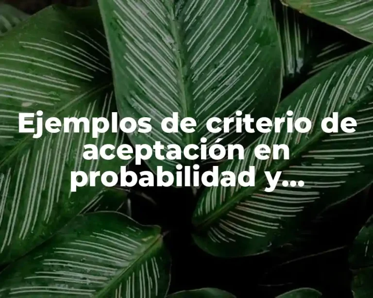 Ejemplos de criterio de aceptación en probabilidad y estadística