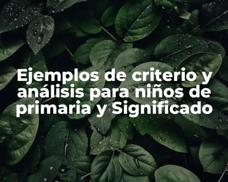 Ejemplos de criterio y análisis para niños de primaria y Significado