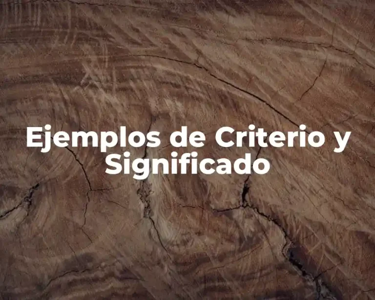 Ejemplos de Criterio y Significado