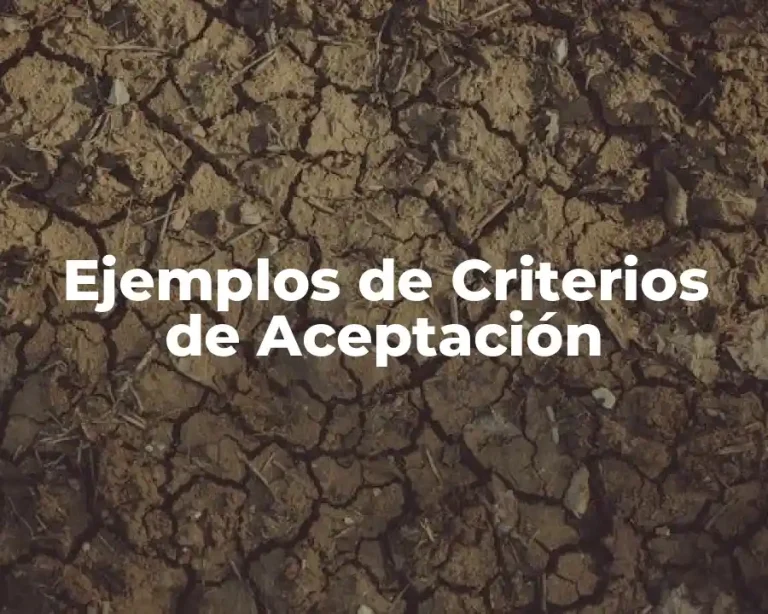 Ejemplos de Criterios de Aceptación