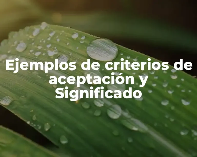 Ejemplos de criterios de aceptación y Significado