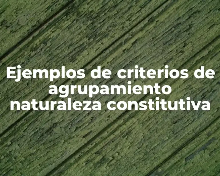 Ejemplos de criterios de agrupamiento naturaleza constitutiva