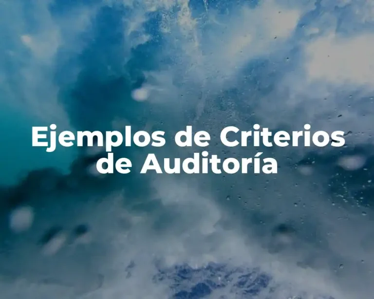 Ejemplos de Criterios de Auditoría