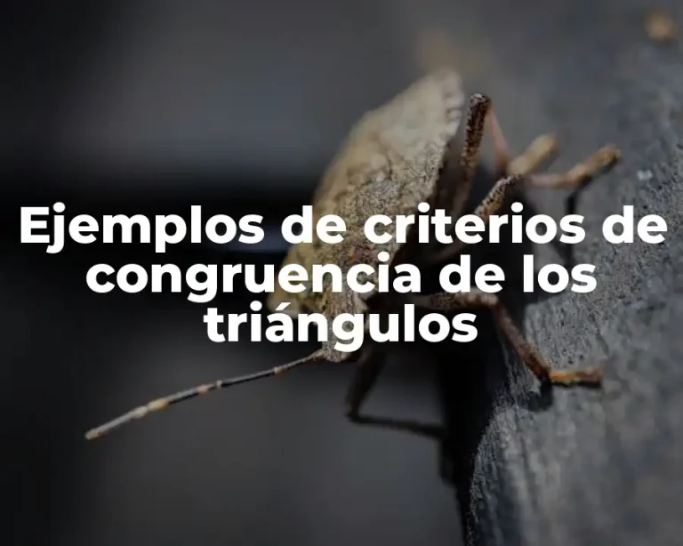 Ejemplos de criterios de congruencia de los triángulos