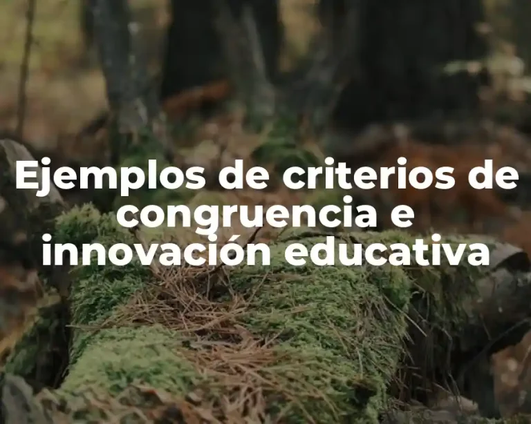 Ejemplos de criterios de congruencia e innovación educativa