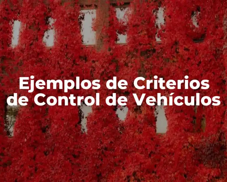Ejemplos de Criterios de Control de Vehículos