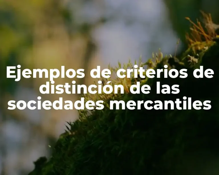 Ejemplos de criterios de distinción de las sociedades mercantiles