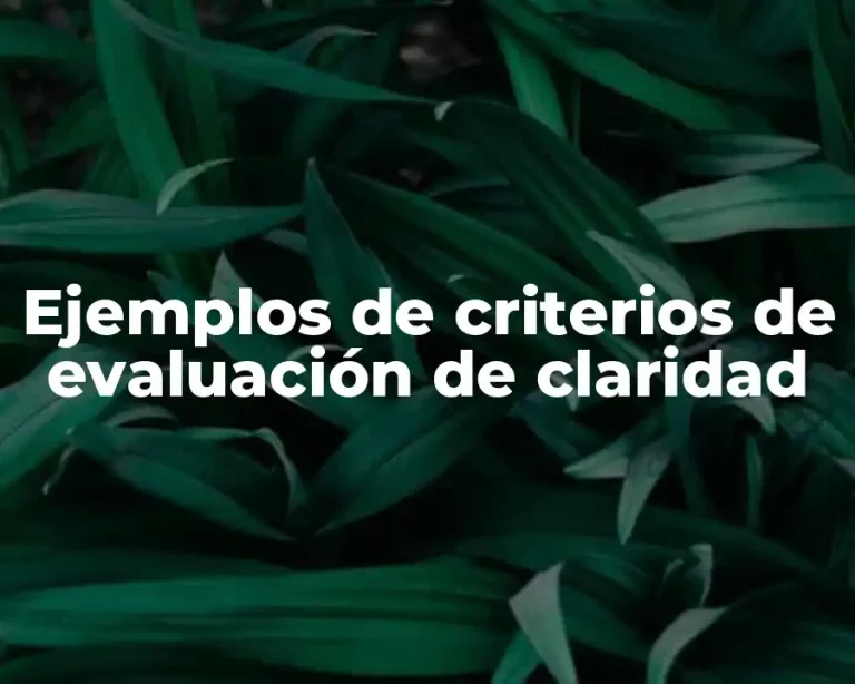Ejemplos de criterios de evaluación de claridad