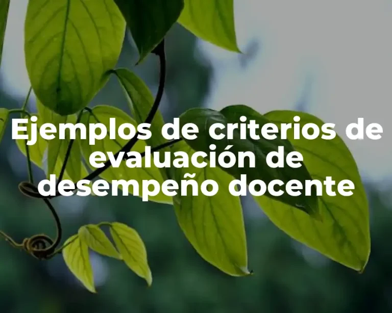 Ejemplos de criterios de evaluación de desempeño docente