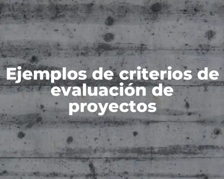 Ejemplos de criterios de evaluación de proyectos