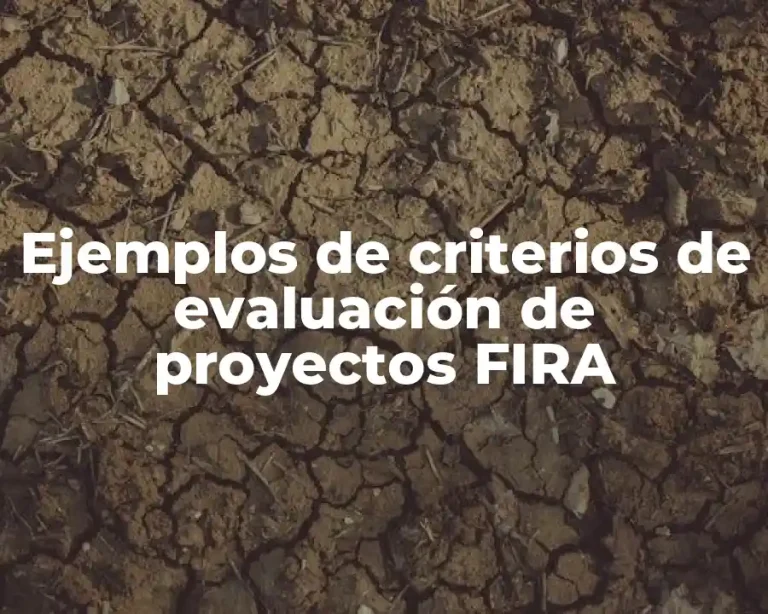 Ejemplos de criterios de evaluación de proyectos FIRA