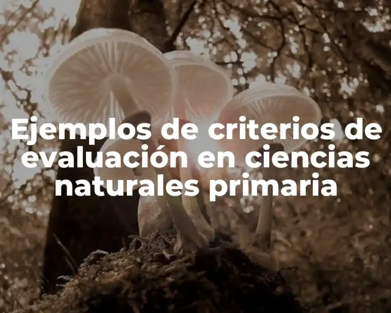 Ejemplos de criterios de evaluación en ciencias naturales primaria