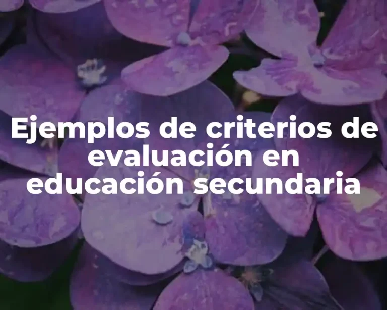 Ejemplos de criterios de evaluación en educación secundaria