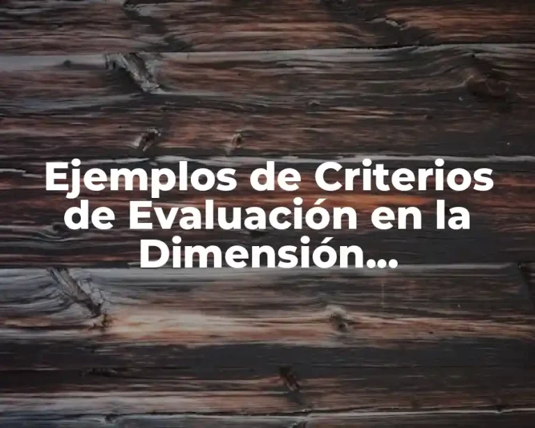 Ejemplos de Criterios de Evaluación en la Dimensión Organizacional