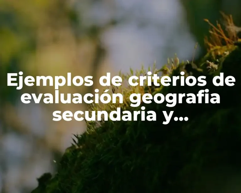 Ejemplos de criterios de evaluación geografia secundaria y Significado