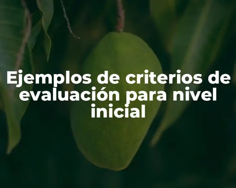Ejemplos de criterios de evaluación para nivel inicial