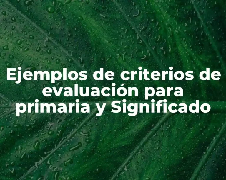 Ejemplos de criterios de evaluación para primaria y Significado