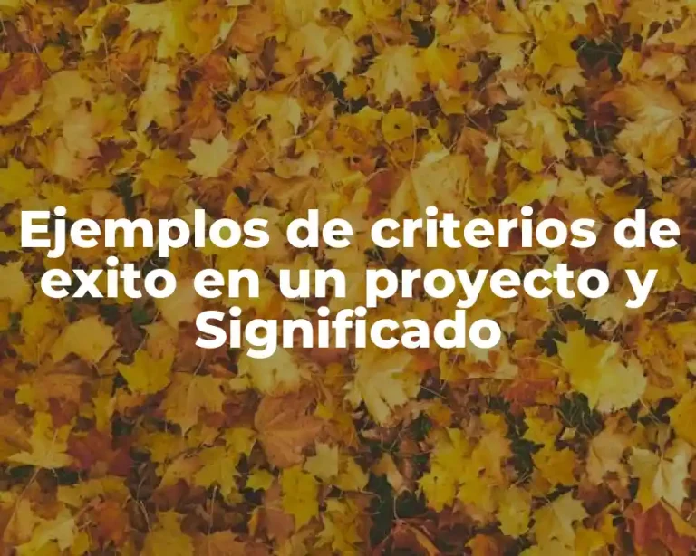 Ejemplos de criterios de exito en un proyecto y Significado