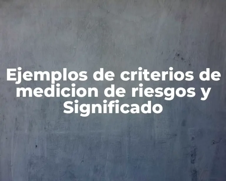 Ejemplos de criterios de medicion de riesgos y Significado