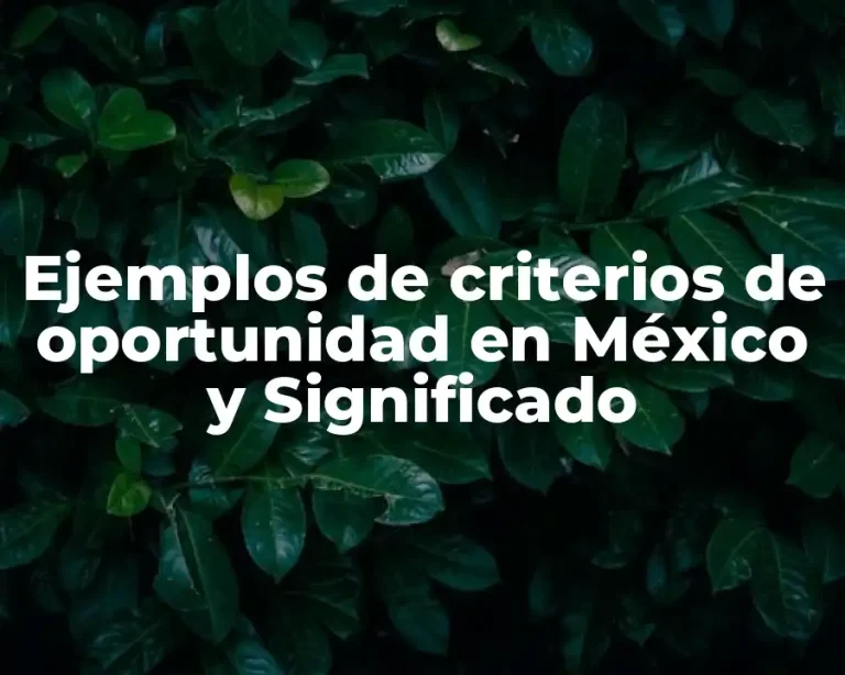 Ejemplos de criterios de oportunidad en México y Significado