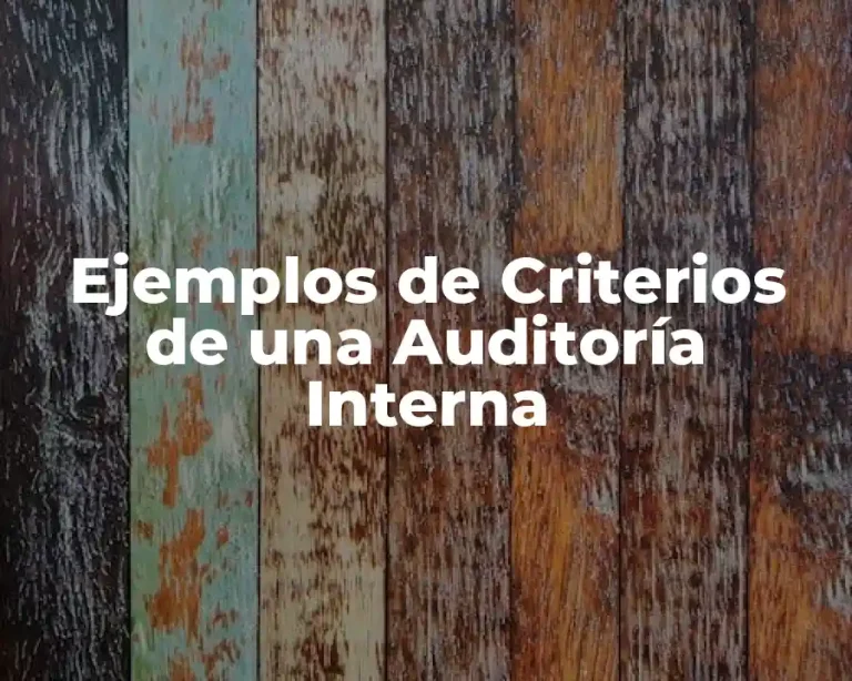 Ejemplos de Criterios de una Auditoría Interna