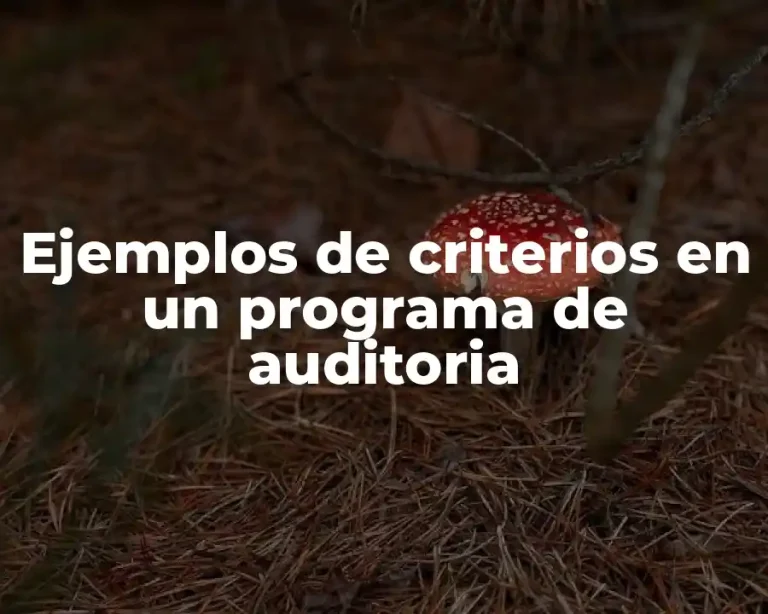 Ejemplos de criterios en un programa de auditoria