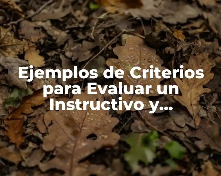 Ejemplos de Criterios para Evaluar un Instructivo y Significado