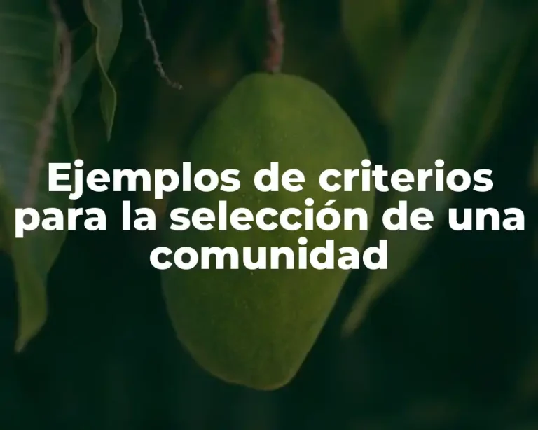 Ejemplos de criterios para la selección de una comunidad