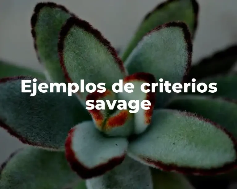 Ejemplos de criterios savage