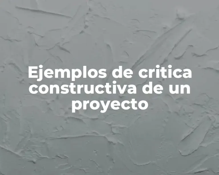Ejemplos de critica constructiva de un proyecto