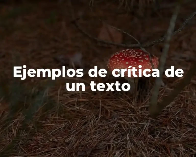 Ejemplos de crítica de un texto